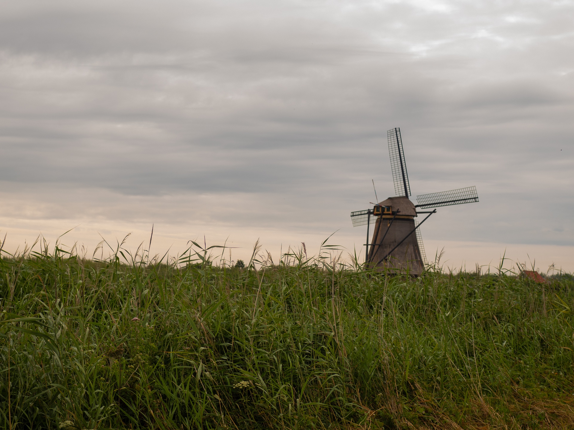 Kinderdijk